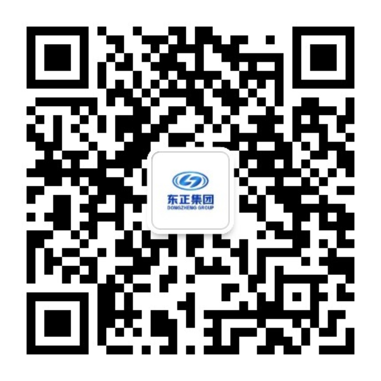 陕西东正化工